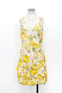 Aisha Floral Applique Mini Dress