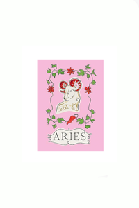 Mini Zodiac Book