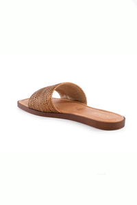 Palms Perfection Slide