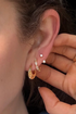 Brodie Studs
