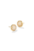Sand Dollar Stud Earrings