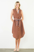 Polka Dot & Blue Sleeveless Shirt Dress