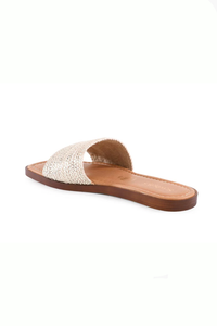 Palms Perfection Slide