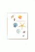 Shells Thank You Card