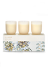 Votive Gift Set