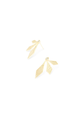 Jayden Earring