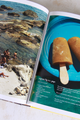 Home Made Summer Cookbook - House of Lucky