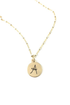 Initial Charm