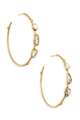 Ivy Hoop Earring