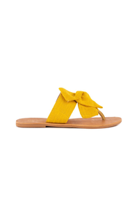 Jubilee Slides
