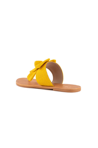 Jubilee Slides