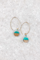 Resin Disc Earrings