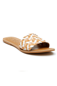 Saltwater Slides