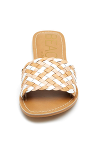 Saltwater Slides