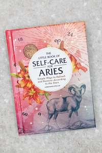 The Little Book Of Self Care For