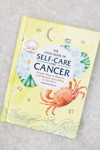 The Little Book Of Self Care For