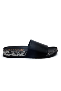 Shift Slides
