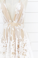 Swan Lake Velvet Mini Dress
