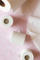 Toilet Paper 2020 Ornament