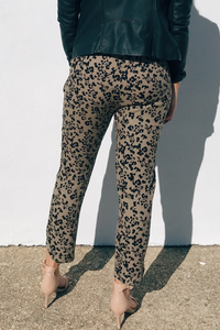 Wildside Pant